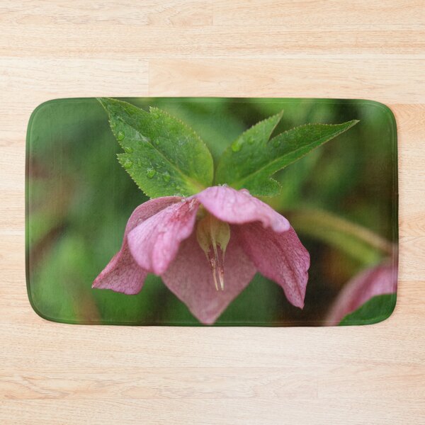 Item preview, Lenten Rose designed and sold by StampCity.