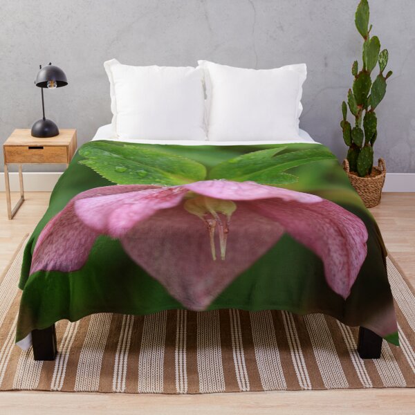 Item preview, Lenten Rose designed and sold by StampCity.