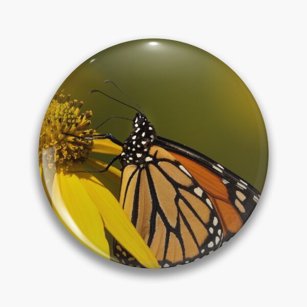Item preview, Fall Monarch 2016-19 designed and sold by Thomasyoung.