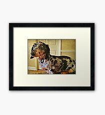 Pensive Pooch Framed Print