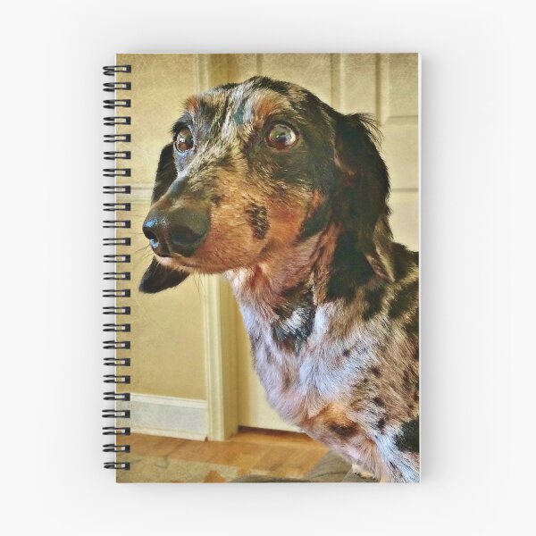 Item preview, Pensive Pooch designed and sold by Scott Mitchell.