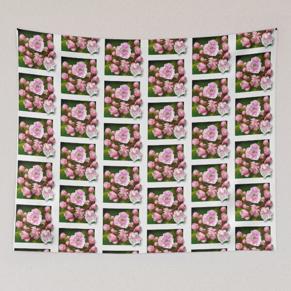 Item preview, Mountain Laurel designed and sold by DesertG.