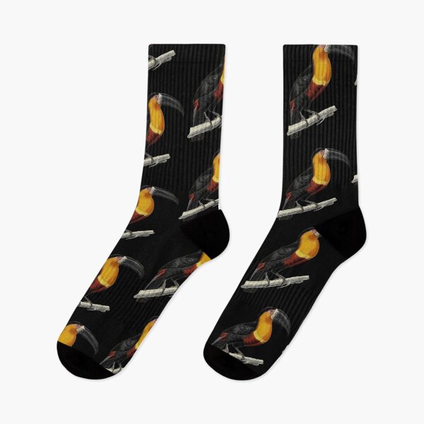 Item preview, black, yellow and red parrot Ramphastos Maximus designed and sold by jc007.