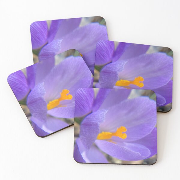 Item preview, First signs of Spring designed and sold by Heather Neilson.