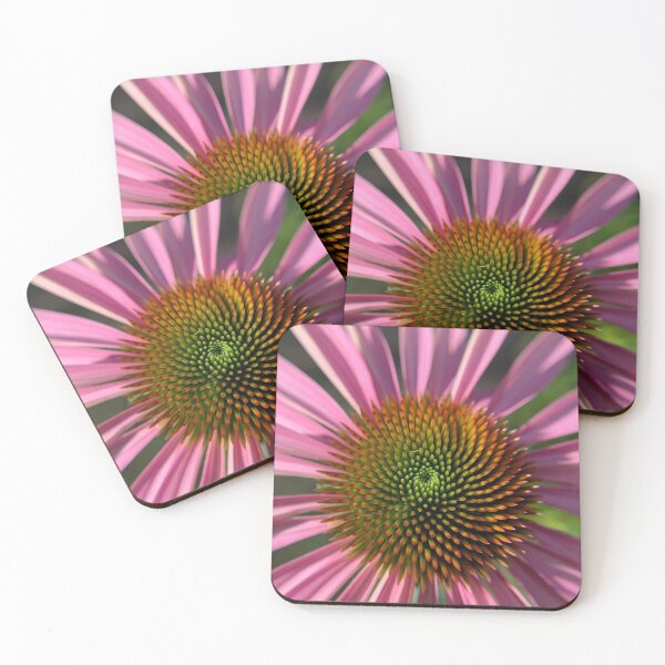 Item preview, Echinacea designed and sold by Heather Neilson.