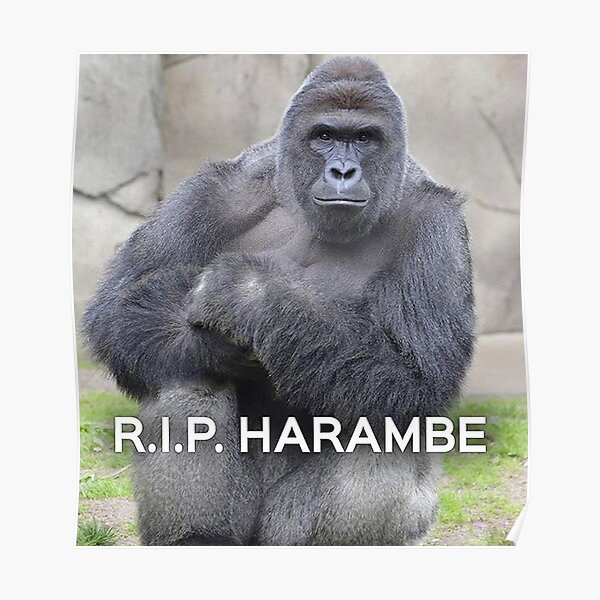 Harambe Poster