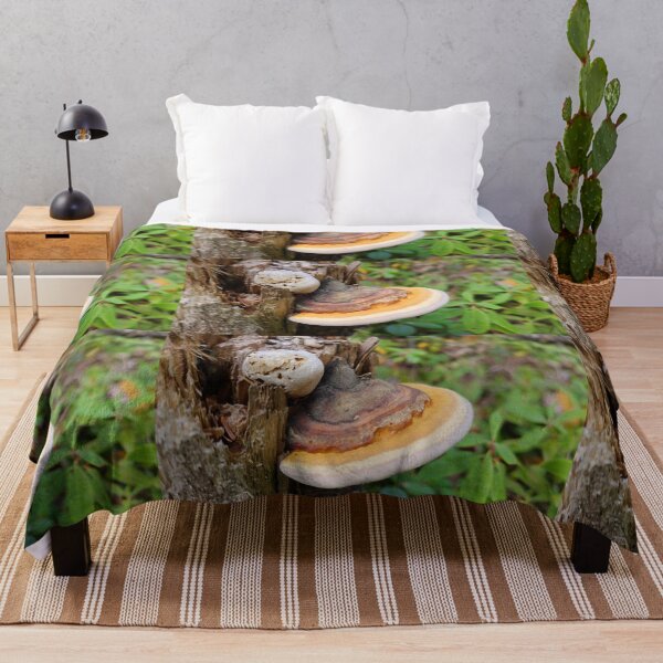 Item preview, Seta en el bosque designed and sold by Totallyalive.