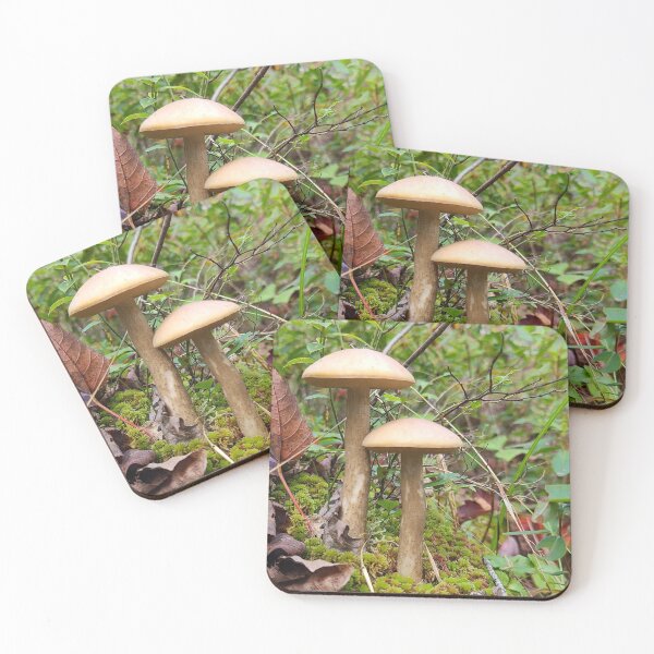 Artikelvorschau, Pilz im Wald entworfen und verkauft von Totallyalive.