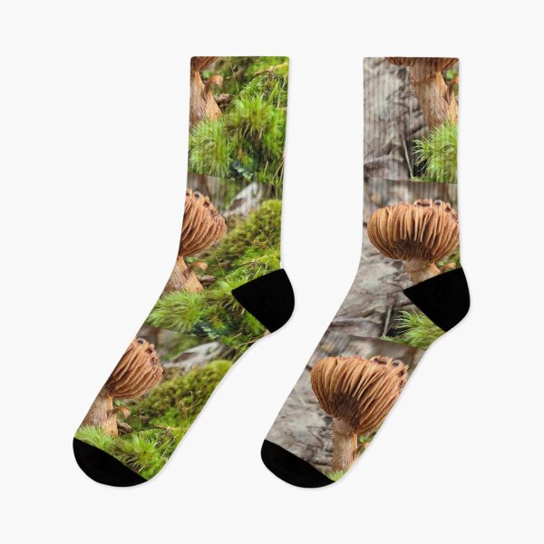 Item preview, Seta en el bosque designed and sold by Totallyalive.