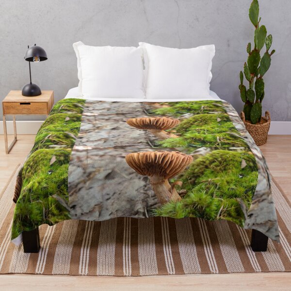 Item preview, Seta en el bosque designed and sold by Totallyalive.