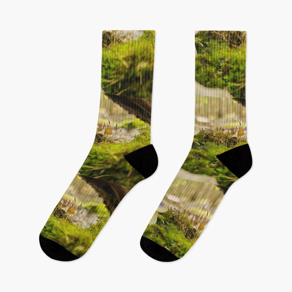 Item preview, Seta en el bosque designed and sold by Totallyalive.