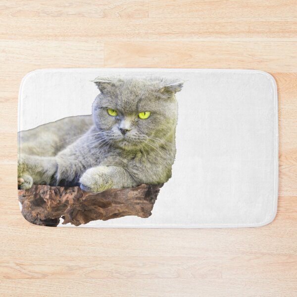 Item preview, EXPRESSIVE CAT. NATURAL BEAUTY designed and sold by Mayne21.