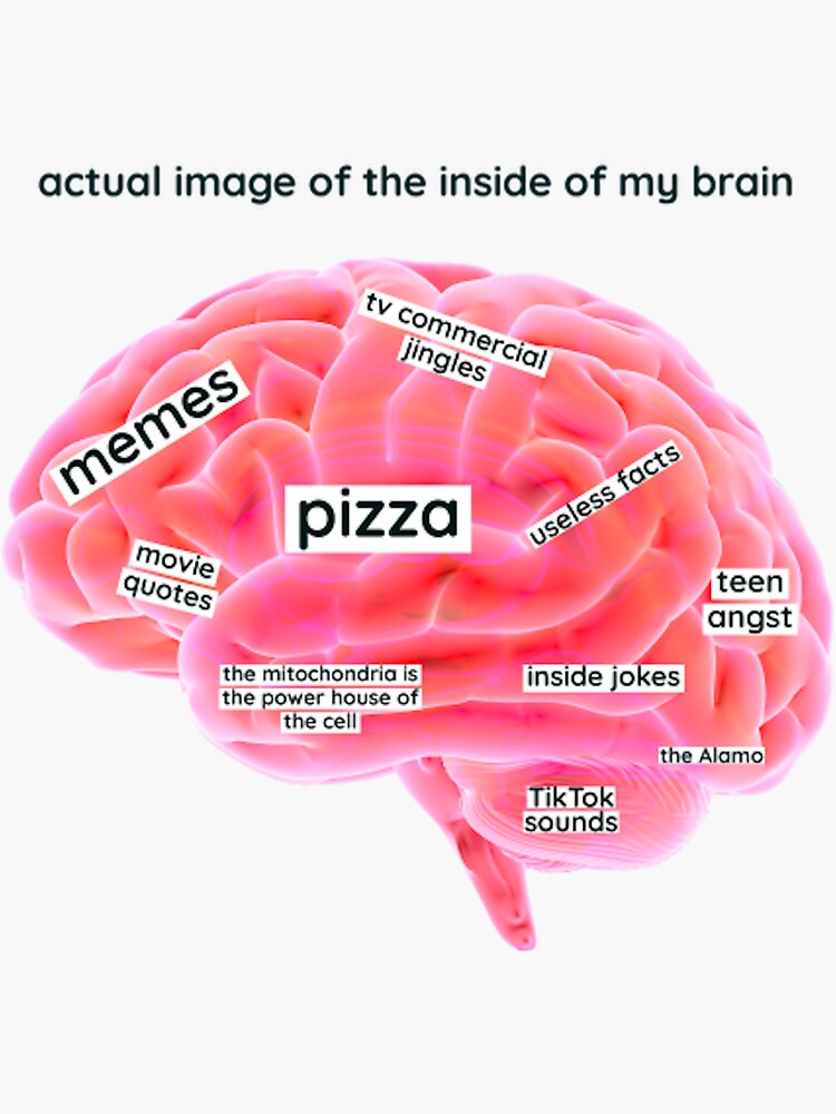 "Inside brain meme" Sticker by JadeMaguire Redbubble