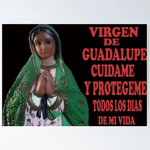 VIRGEN DE GUADALUPE VIRGIN MARY POSTER 8.5 X 11 INCH Catholic, acts,  saints