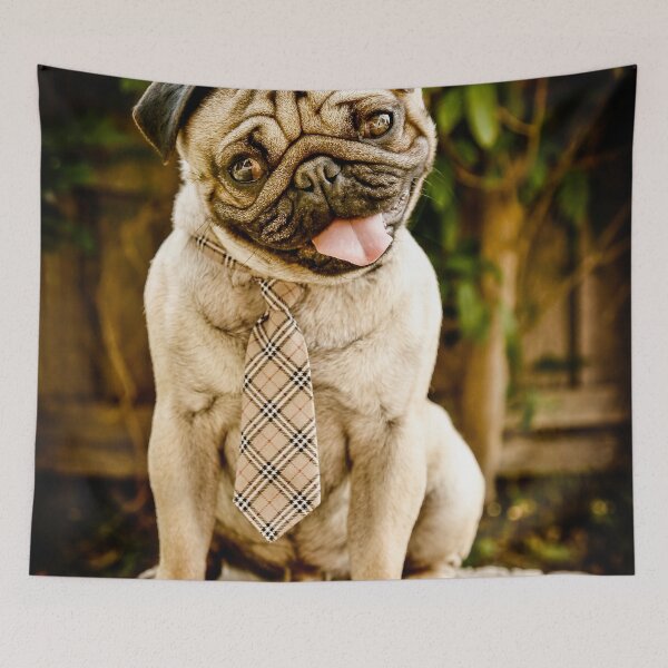 Item preview, Monty designed and sold by pipsqueaksphoto.