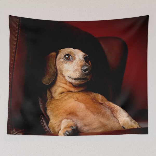 Item preview, Monty designed and sold by pipsqueaksphoto.