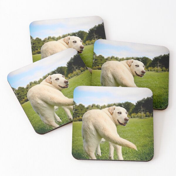Item preview, Oscar designed and sold by pipsqueaksphoto.