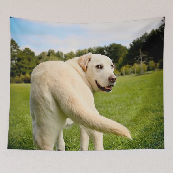 Item preview, Oscar designed and sold by pipsqueaksphoto.