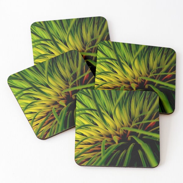 Item preview, The Heart of the Grass-Tree Plant designed and sold by Geoff Treagus.