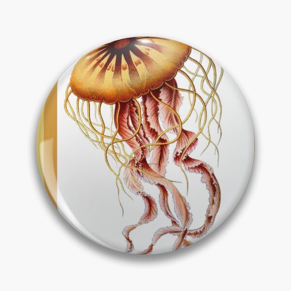 Item preview, Compass jellyfish (Chrysaora hysoscella) SciArt by Ernst Haeckel 02 designed and sold by Maha Karuna.
