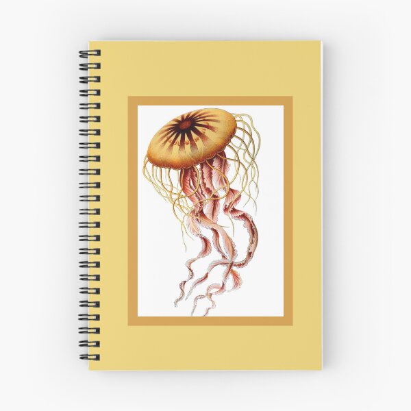 Item preview, Compass jellyfish (Chrysaora hysoscella) SciArt by Ernst Haeckel 02 designed and sold by Maha Karuna.