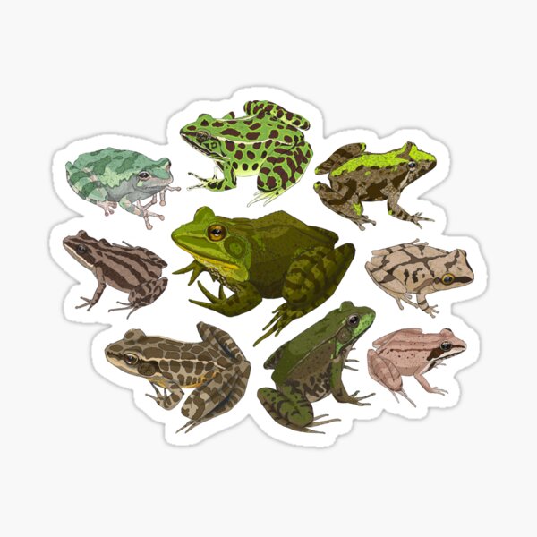 For the Love of Frogs Sticker