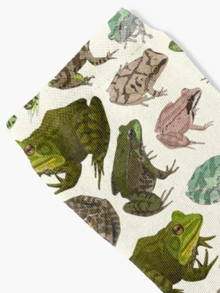 Alternate view of For the Love of Frogs Socks