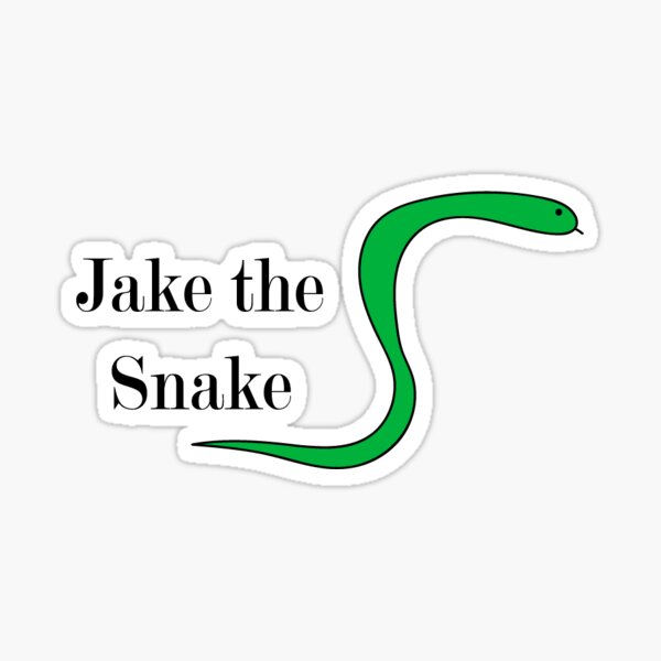 Jake The Snake Gifts & Merchandise | Redbubble