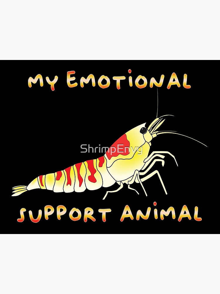 Emotional Support Shrimp (A)