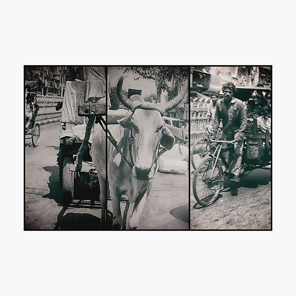 engines of india Photographic Print