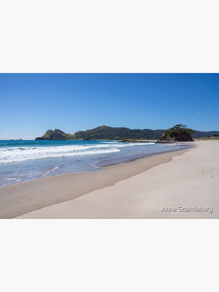 "Medlands Beach" Sticker for Sale by sma1050 Redbubble