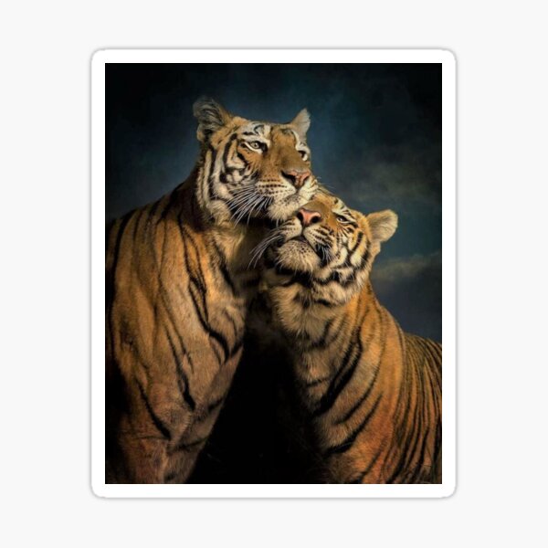 st,small,507x507-pad,600x600,