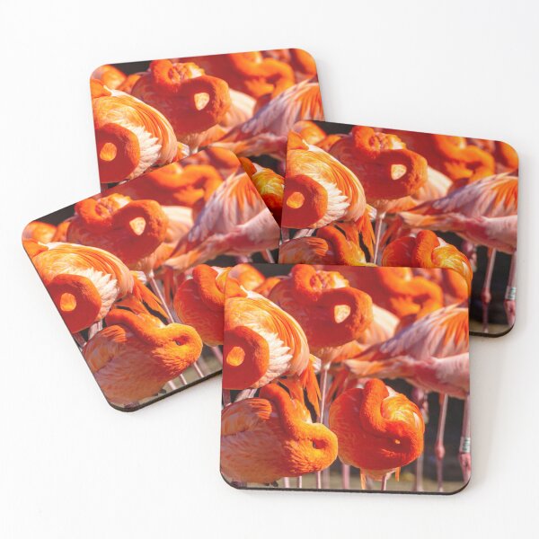 Item preview, Snoozing Caribbean Flamingos in the warm sunshine designed and sold by Dalyndigital Photography.