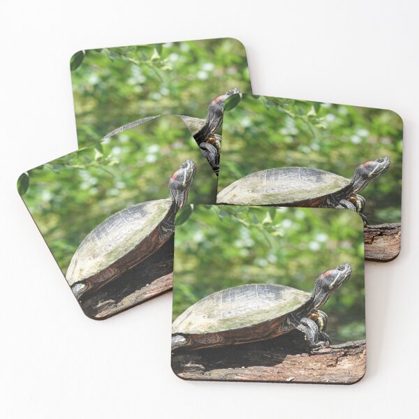 Item preview, Red-eared slider (Trachemys scripta elegans) designed and sold by SDym Photography.