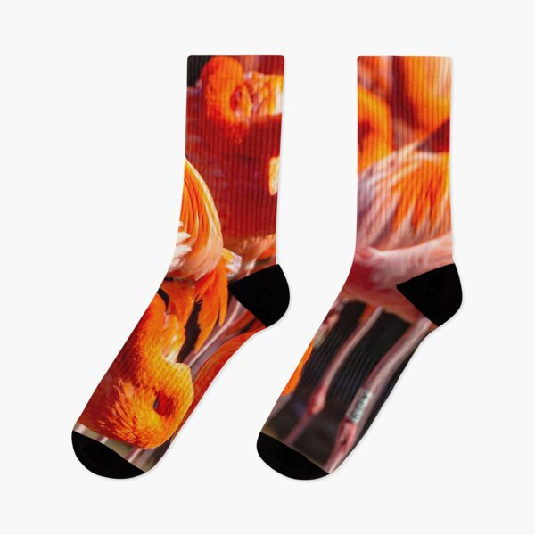 Item preview, Snoozing Caribbean Flamingos in the warm sunshine designed and sold by Dalyndigital Photography.