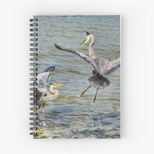 Aperçu de l'œuvre HAPPY HERONS créée et vendue par EdSanders.