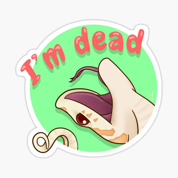 Item preview, Albino Western Hognose Snake playing dead designed and sold by anacecilia.