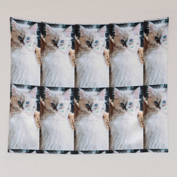 Item preview, Ragdoll kitten designed and sold by Fluffycat2020.