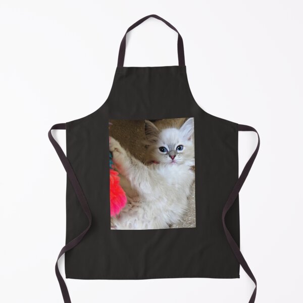 Item preview, Ragdoll kitten designed and sold by Fluffycat2020.