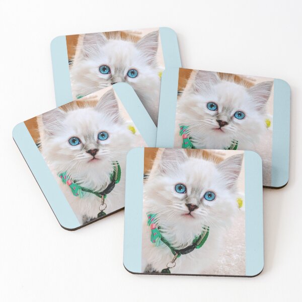 Item preview, Ragdoll kitten designed and sold by Fluffycat2020.