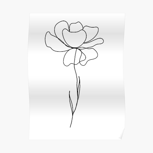 2,800+ Carnation Drawing Stock Photos, Pictures & Royalty-Free Images -  iStock