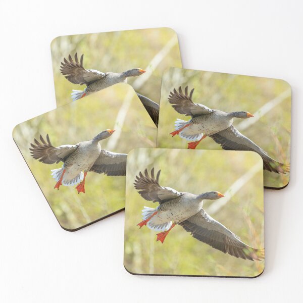 Item preview, Incoming Greylag goose designed and sold by Dalyndigital Photography.