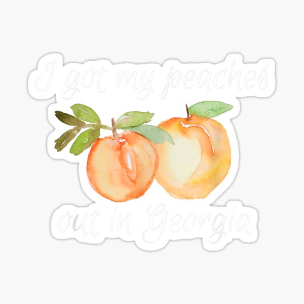 Peaches Lyrics Stickers for Sale