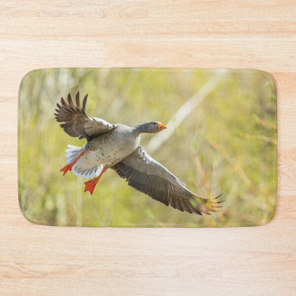 Item preview, Incoming Greylag goose designed and sold by Dalyndigital Photography.