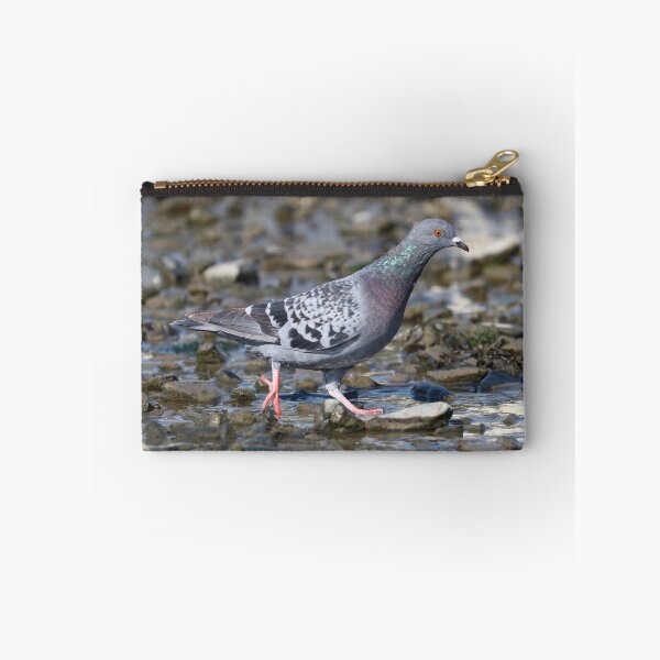 Item preview, Pigeon strut designed and sold by GreyFeatherPhot.