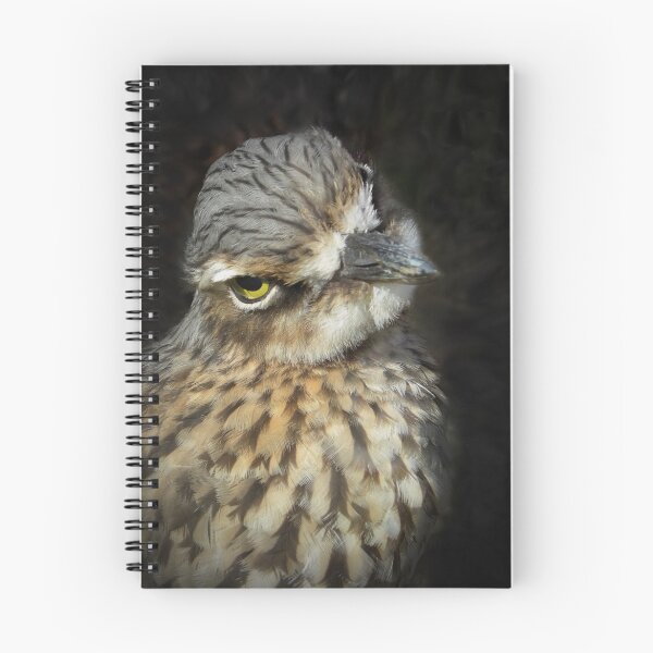 Item preview, You looking at me!? designed and sold by Stacky's Creations.