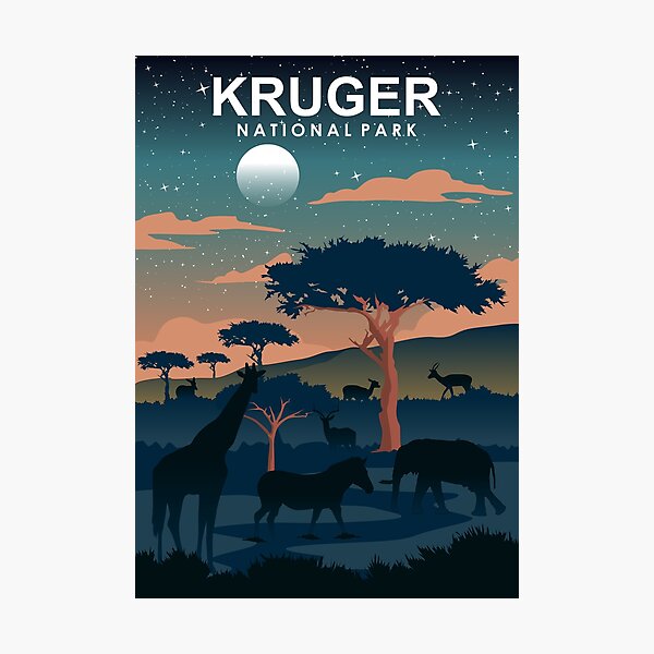 Kruger National Park Night Travel Poster South Africa Photographic Print