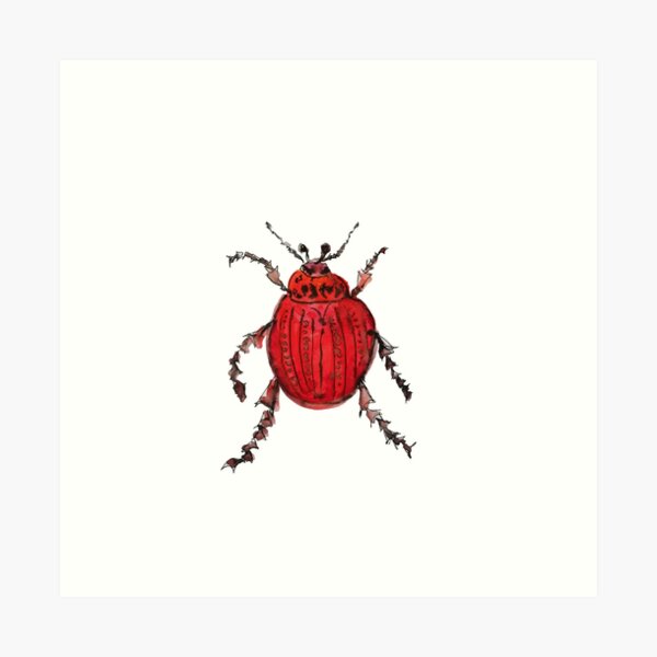 Beetle-mania Art Print