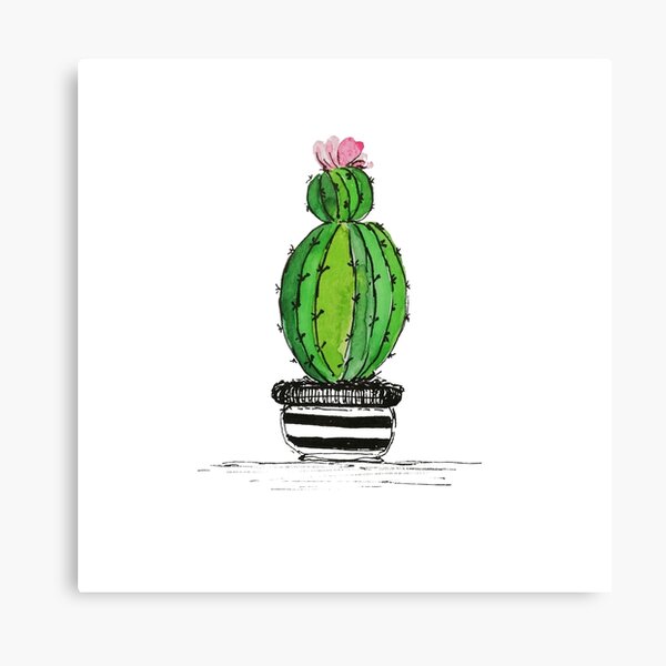 Sweet succulent Canvas Print