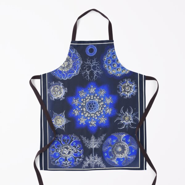 Item preview, Polycyttaria SciArt Illustration by Ernst Haeckel 01 designed and sold by Maha Karuna.